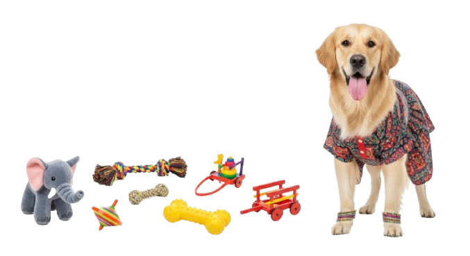 Dog toys and accessories